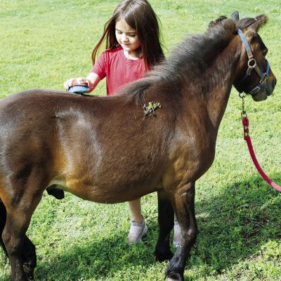 Eastside kids, horses raise up plenty of spirit