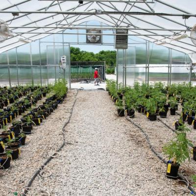 Lawmakers try to combat illegal pot sales