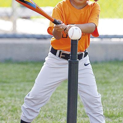 Daniel Martinez focuses on the ball as he prepares to hit it during his Noon Lions T-Ball game Tuesday at Schumacher Fields at Acme Brick Park. CDN | Sam Goodwyn Daniel Martinez focuses on the ball as he prepares to hit it during his Noon Lions T-Ball game Tuesday at Schumacher Fields at Acme Brick Park. CDN | Sam Goodwyn