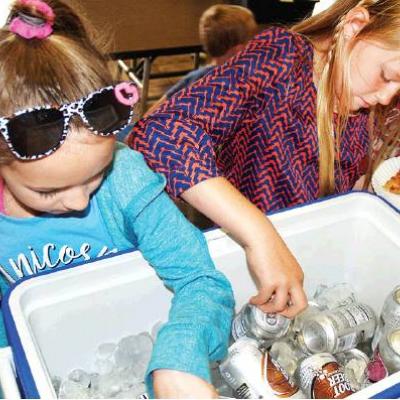 Article Image Alt Text