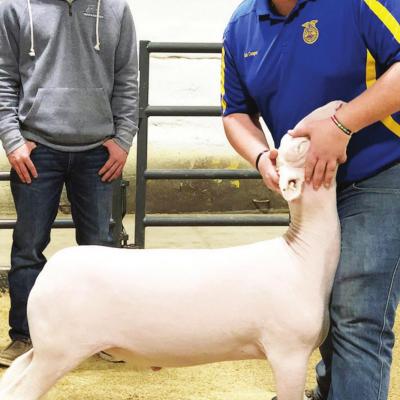 Cooper wins two awards Cooper wins two awards