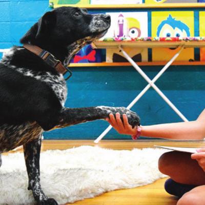 Dogs make art more enjoyable