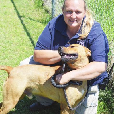 Estrada uses new job to find homes for animals