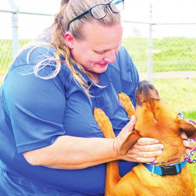 Rabies vaccinations urged