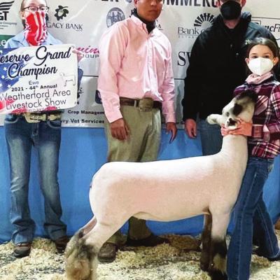 Reserve Grand Champion Ewe