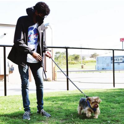 New dog park opening in Clinton