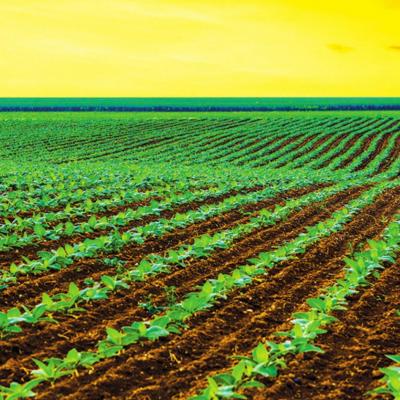 Agriculture has larger effect on overall economy