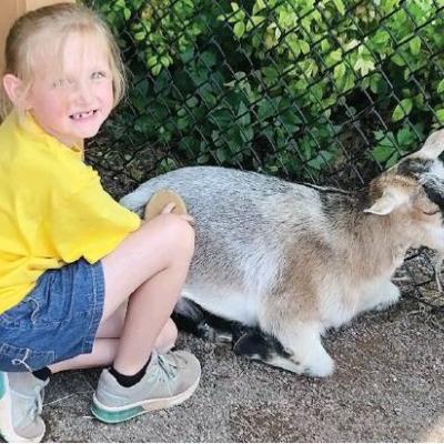 CDN | Courtesy Photo Summer Playground student Jazmin Chapman pets a goat at the Oklahoma City Zoo. Each week this summer, students take day-long field trips to various locations. Article Image Alt Text