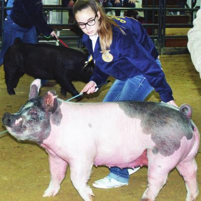 Baggett, gilt perform for judges