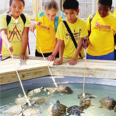 Summer Playground students feeding the turtles at the Medicine Park Aquarium from left are Danielle French, Kinzlee Depew, Nevin Hines and Jayden McCoy. The group visited the aquarium last Tuesday. CDN | Courtesy photo Summer Playground wrapping up