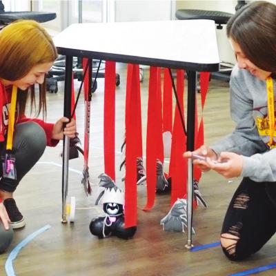 Roman history, literature in action