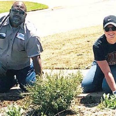 Article Image Alt Text