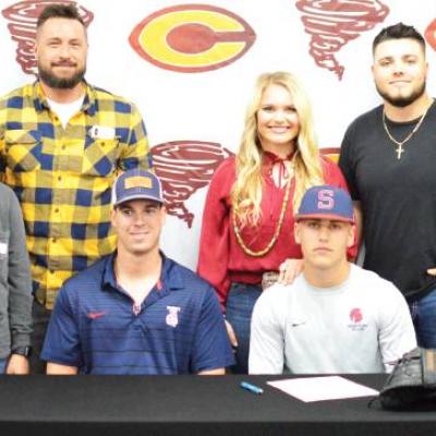 Article Image Alt Text