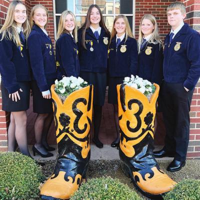 Contest participants