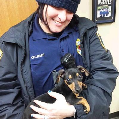 Dog seen in video alive, well