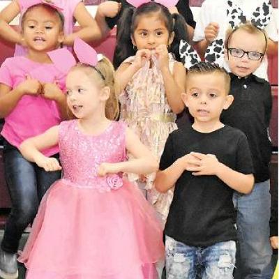 Article Image Alt Text