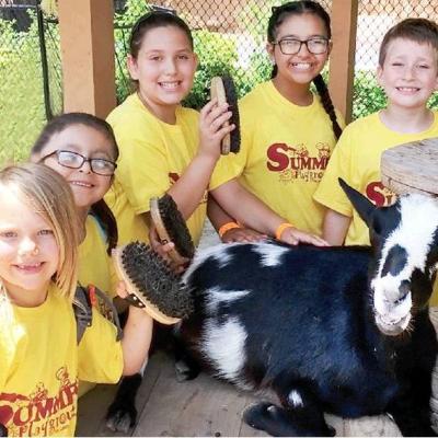 Article Image Alt Text