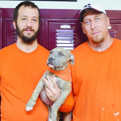 Trustees Chad McGee, left, and Catlin Frazier show off new Custer County Jail therapy dog Cellie Mae in her county orange uniform. CDN | Micah Ashcraft