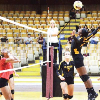 Article Image Alt Text