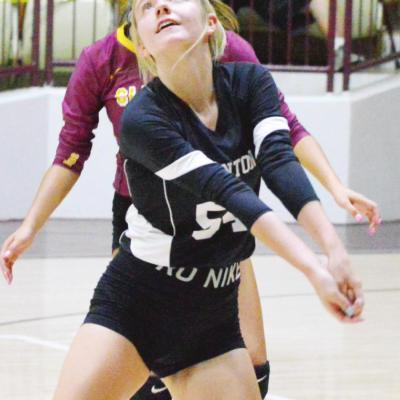 Garner takes on reliable veteran role