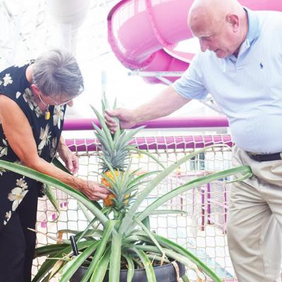 Crowning achievement