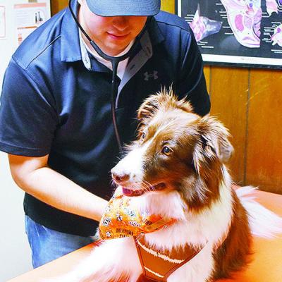 Silas takes over local veterinary practice