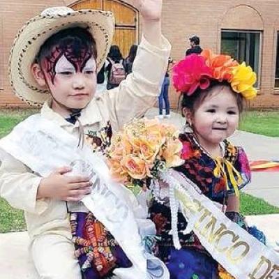 Article Image Alt Text