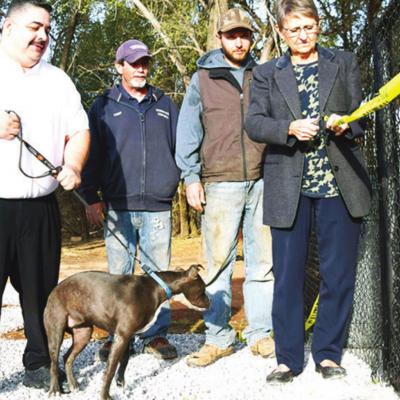 CDN | Litzy Silos Grand opening