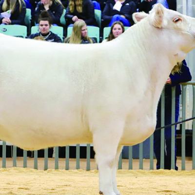 CDN | Courtesy photo CDN | Courtesy photo