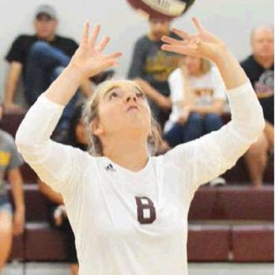 Article Image Alt Text