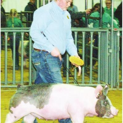 Clinton student shows