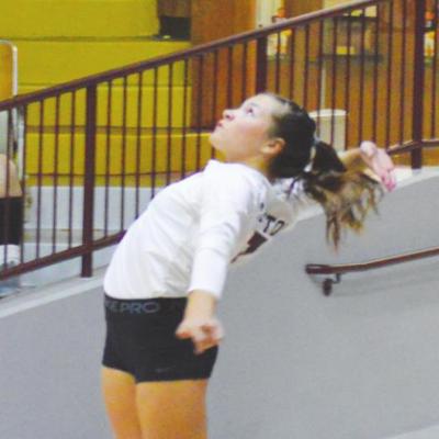 Shelbi Goossen, senior, serving the ball. Sports