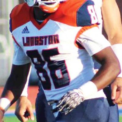 Article Image Alt Text