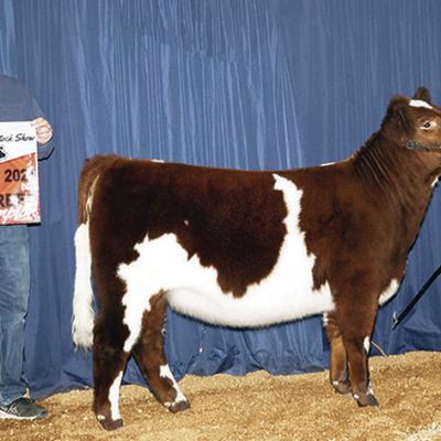 CDN | Courtesy photo Breed champion