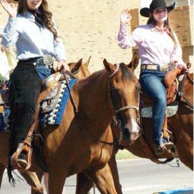 Article Image Alt Text