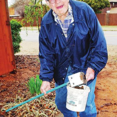 CDN | Robert S. Bryan Pecan lovin’ neighbor helps out