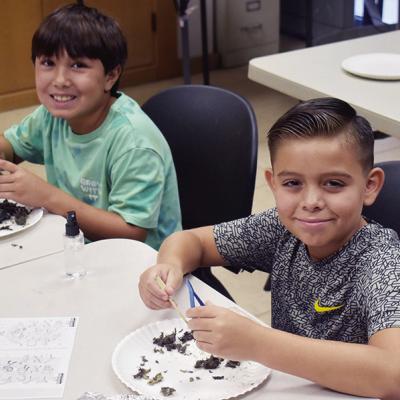 Owl pellet dissection