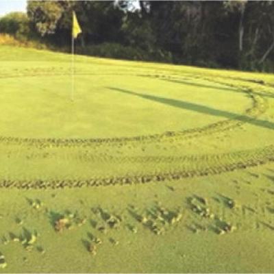 Vandals strike greens at Riverside