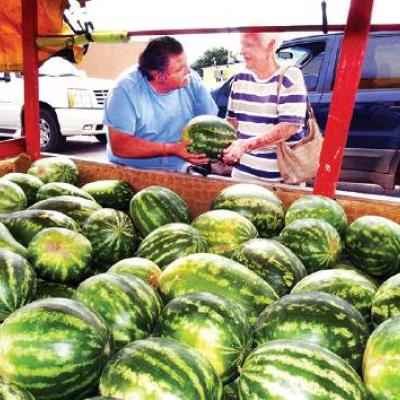 Article Image Alt Text