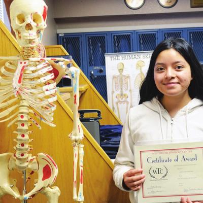 Article Image Alt Text