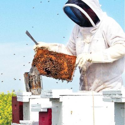 Article Image Alt Text