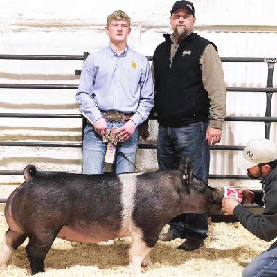 Reserve Grand Champion Reserve Grand Champion