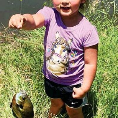 Article Image Alt Text