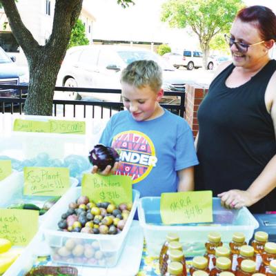 Looking at all the options