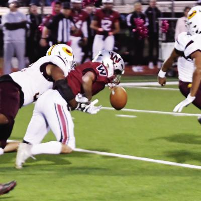 CHS gives Eagles goose egg