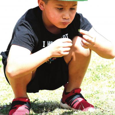 Hunting for a four-leaf clover