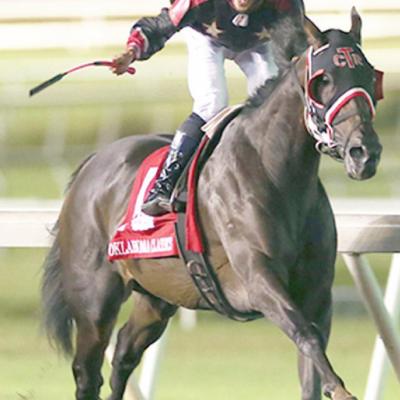 CDN |Courtesy photo Absaroka wins Horse of the Year award