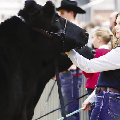 “Show” time “Show” time