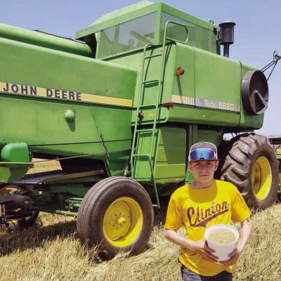 Farmer tests wheat’s future
