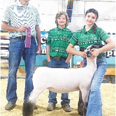 Sheep Division Champions